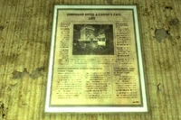 蜥蜴在赌城大闹