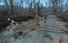 FO4 Herd of ghouls