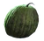Fresh melon