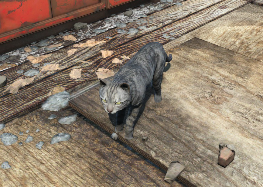 fallout 4 how to get a cat