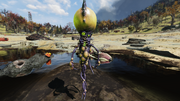 FO76 Floater green boy.png
