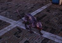 FO76 Squirrel2.jpeg (175 KB)