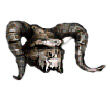 Skull.jpg