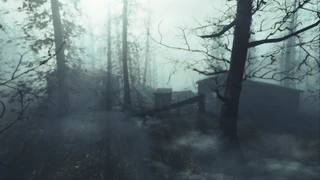 Fo4FH NatPark Campground
