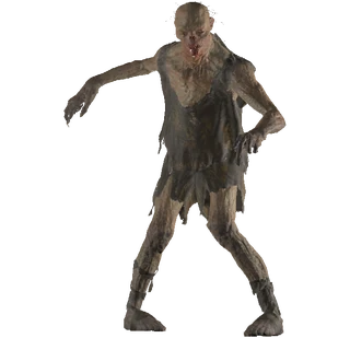 EncFeralGhoul01Template