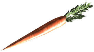 FO3 fresh carrot