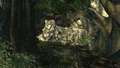 Entrance to Oasis caves