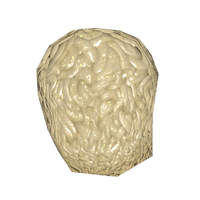 Fo4 FungusBrainIngredient01