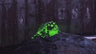 F76 Glowing Radtoad