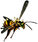 FOT wasp