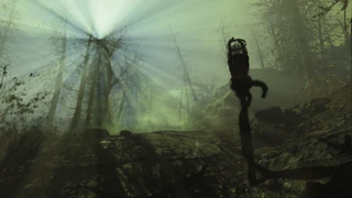 Fo4FH Safe Passage