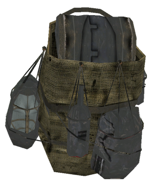 Meat bag (Fallout 76), Fallout Wiki