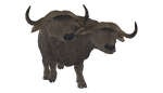 DLC04EncBrahmiluff02.png