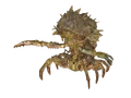 Mirelurk queen