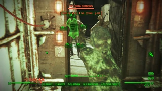 TemporaryVictoriaGibbons