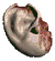 Player's ear