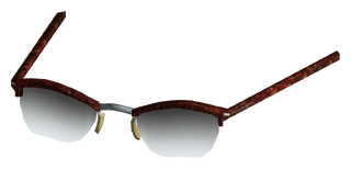 Tortiseshell Glasses