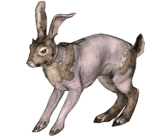 Rabbit (Fallout 76) - The Vault Fallout Wiki - Everything you need to ...