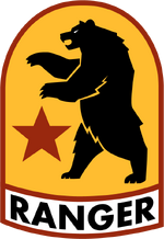 Standard uniform patch