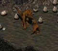 Mother deathclaw in Fallout 2.