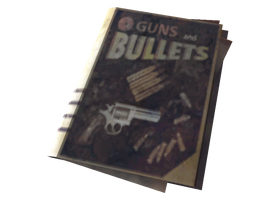 Guns and Bullets.png