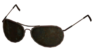 AuthorityGlasses.png