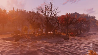 F76 Deathclaw Island