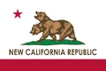 Current NCR flag