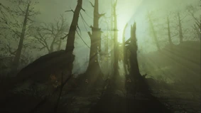 377160 20170620214300 1