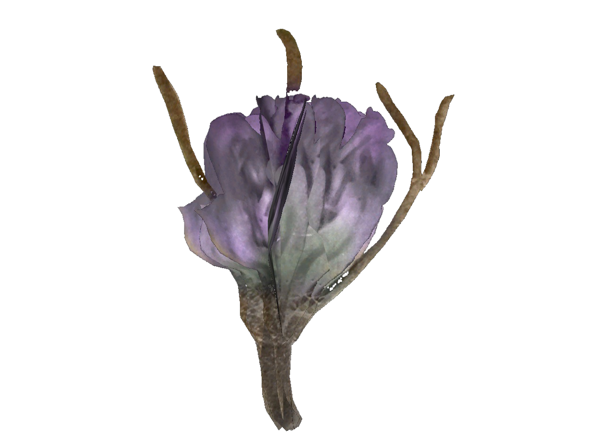Tato flower The Vault Fallout Wiki Everything you need Tato flower The Vault Fallout Wiki Everything you need