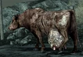A mad brahmin in Fallout 3 and Fallout: New Vegas