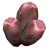 PricklyPearFruit2