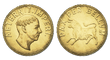 Aureus