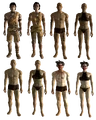 Some human tribals (Point Lookout tribal, Dead Horses, Sorrows, White Legs)
