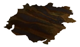 Tanned Golden Gecko Hide