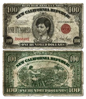 FNV 100$ bill