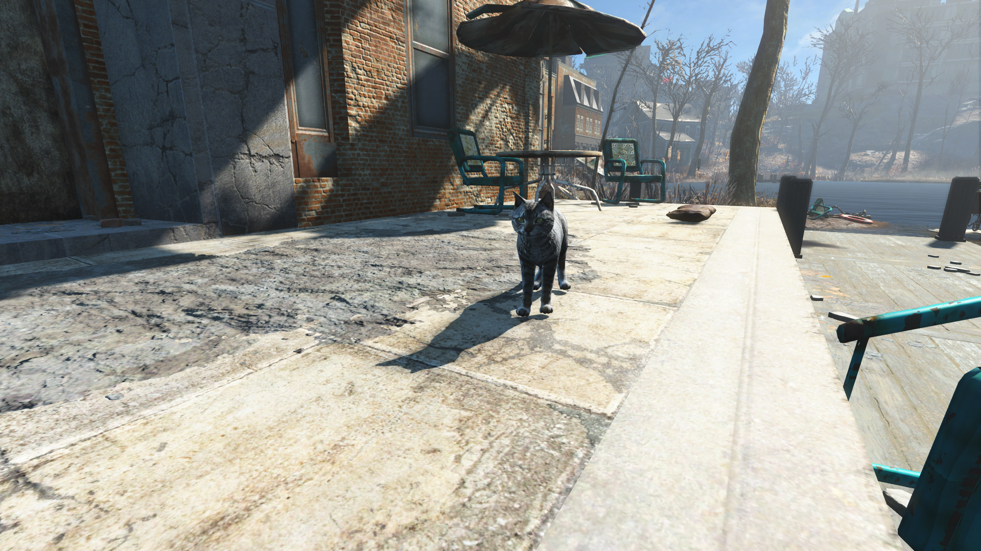 fallout 4 ashes the cat fallout 4 ashes the cat