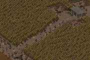 Ghost farm