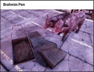 Brahmin Pen