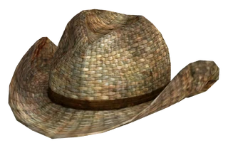 Rattan cowboy hat