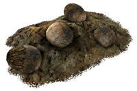 Deathclaw eggs