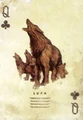 Queen of Clubs: Lupa