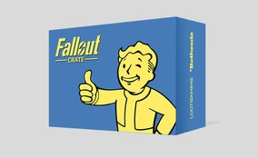 Lot De 4 Dessous De Verre Fallout – Silicone, Loot Crate, Neufs