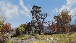 F76 Flatwoods Lookout