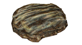 Sweet roll (Fallout 76) - The Vault Fallout Wiki - Everything you need ...