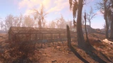 Fo4 Greentop Nursery