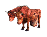 Brahmin.png