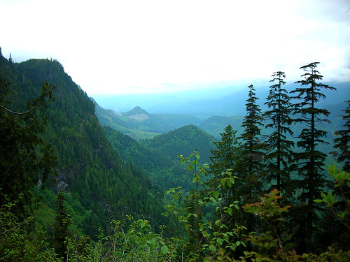 Cascadia (bioregion) - Wikipedia