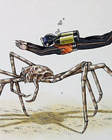 Spider Crab Fallout Fanon Wiki Fandom