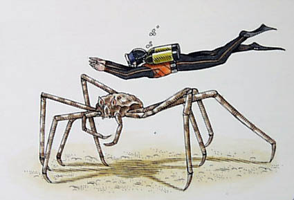 Spider Crab Fallout Fanon Wiki Fandom